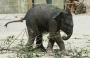 tiere:zoos:hellabrunn2011:14.jpg